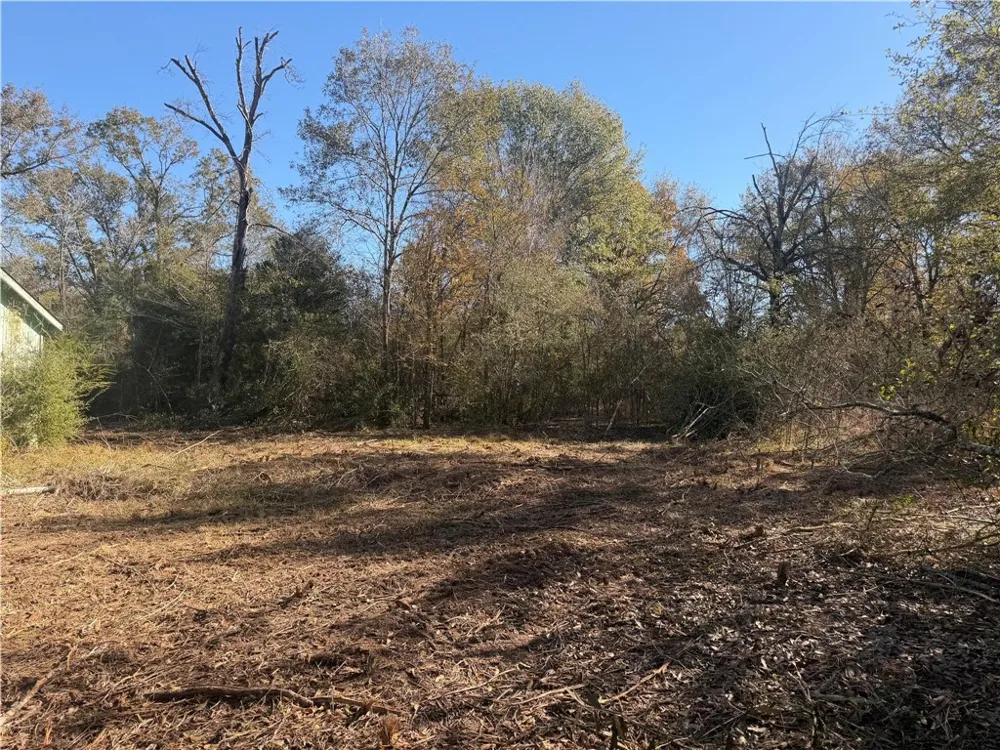 9301 Puddin Lane Madisonville, TX 77864