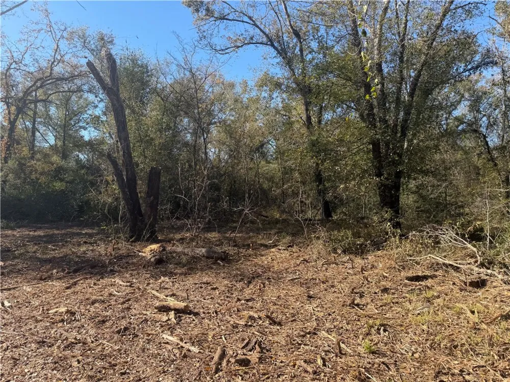 9301 Puddin Lane Madisonville, TX 77864