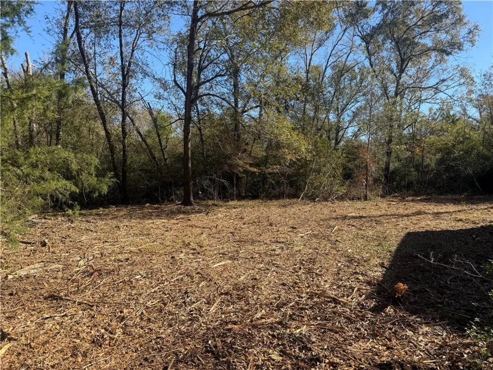 9301 Puddin Lane Madisonville, TX 77864
