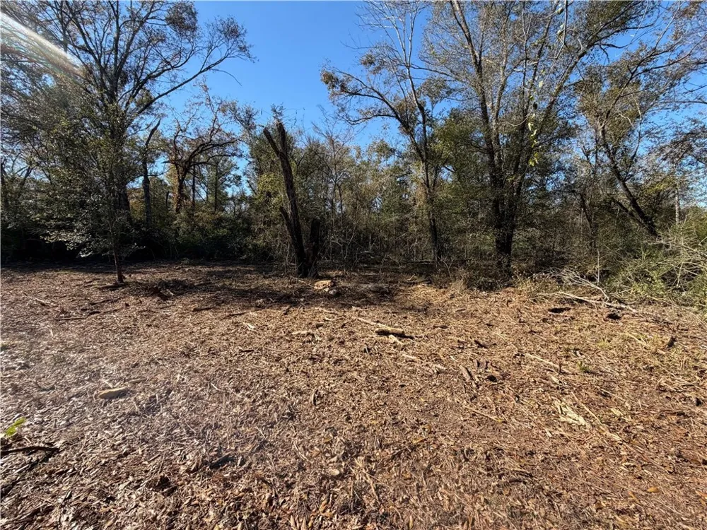 9301 Puddin Lane Madisonville, TX 77864