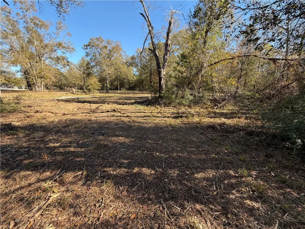 9301 Puddin Lane Madisonville, TX 77864