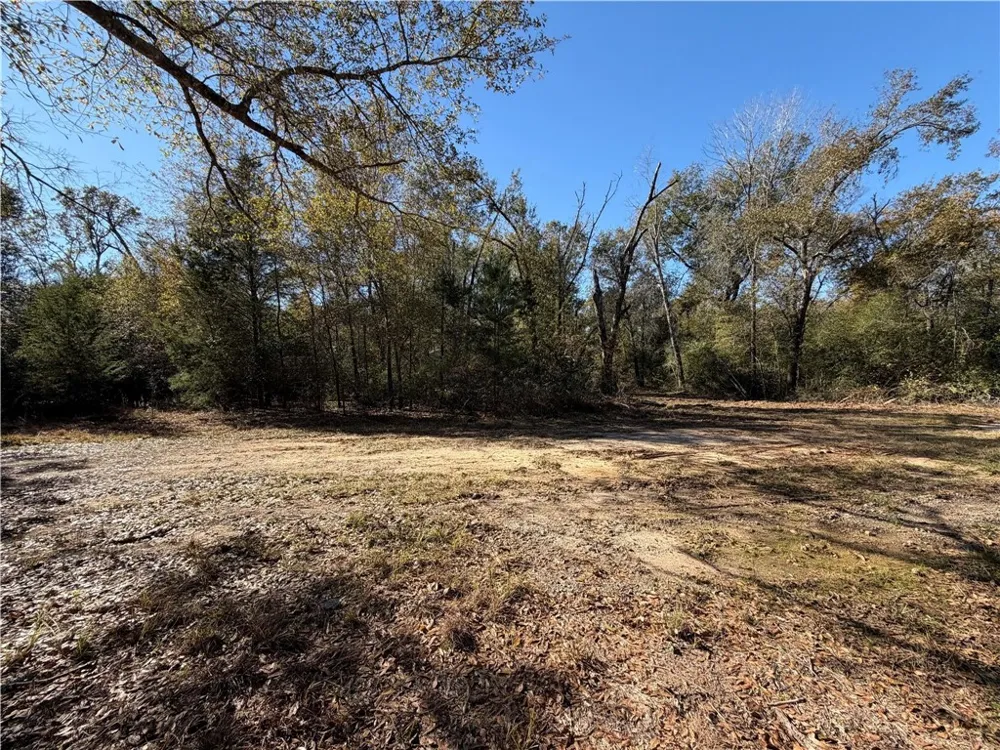 9301 Puddin Lane Madisonville, TX 77864