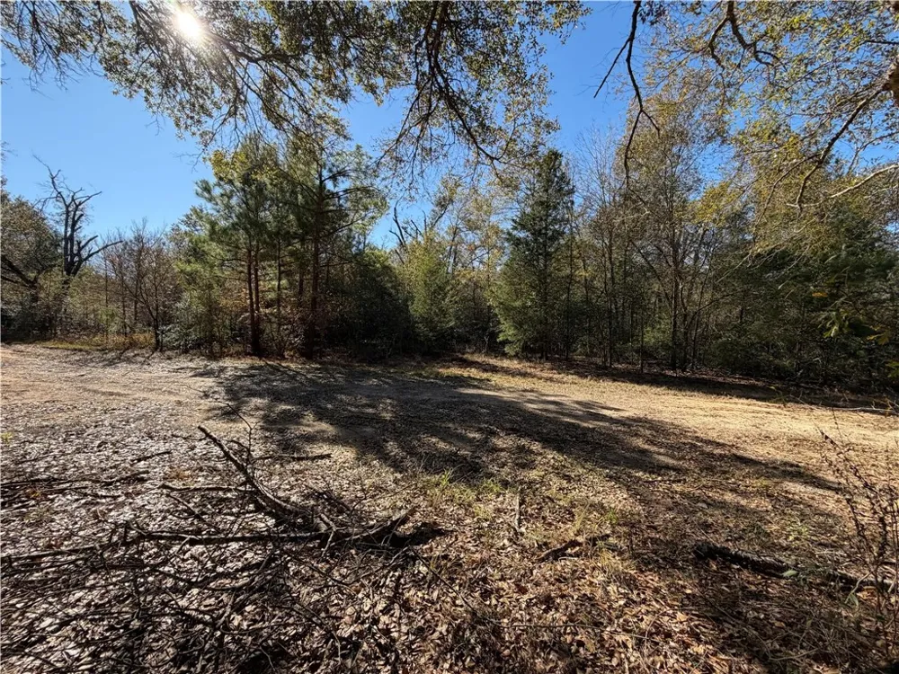 9301 Puddin Lane Madisonville, TX 77864
