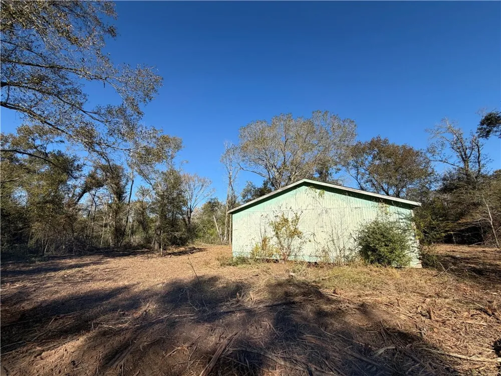 9301 Puddin Lane Madisonville, TX 77864