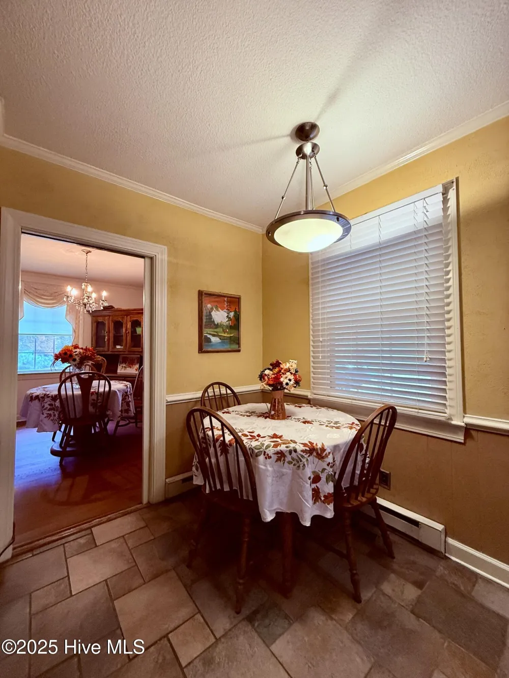 903 E Woodlawn Drive Williamston, NC 27892