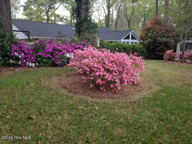 903 E Woodlawn Drive Williamston, NC 27892