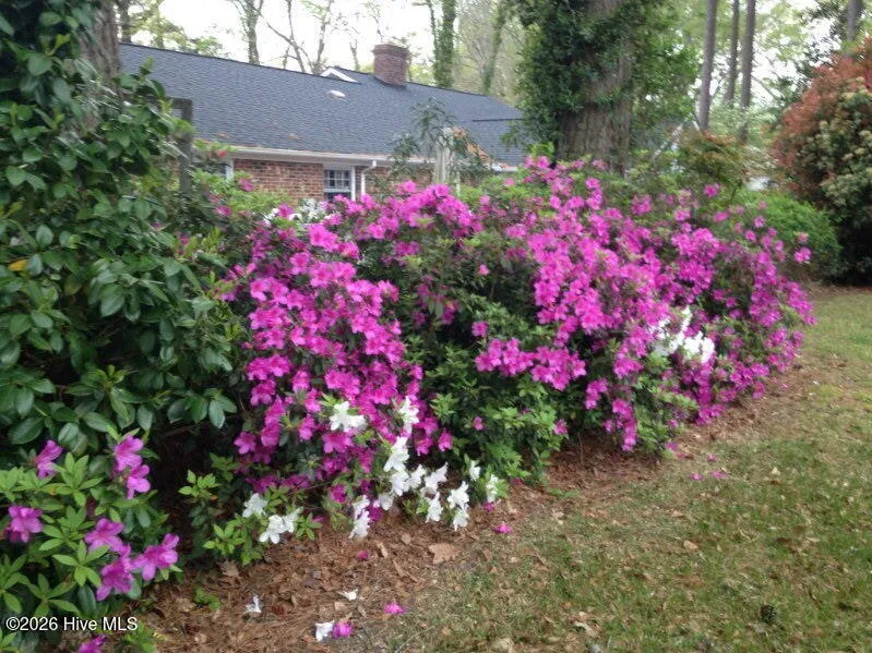 903 E Woodlawn Drive Williamston, NC 27892