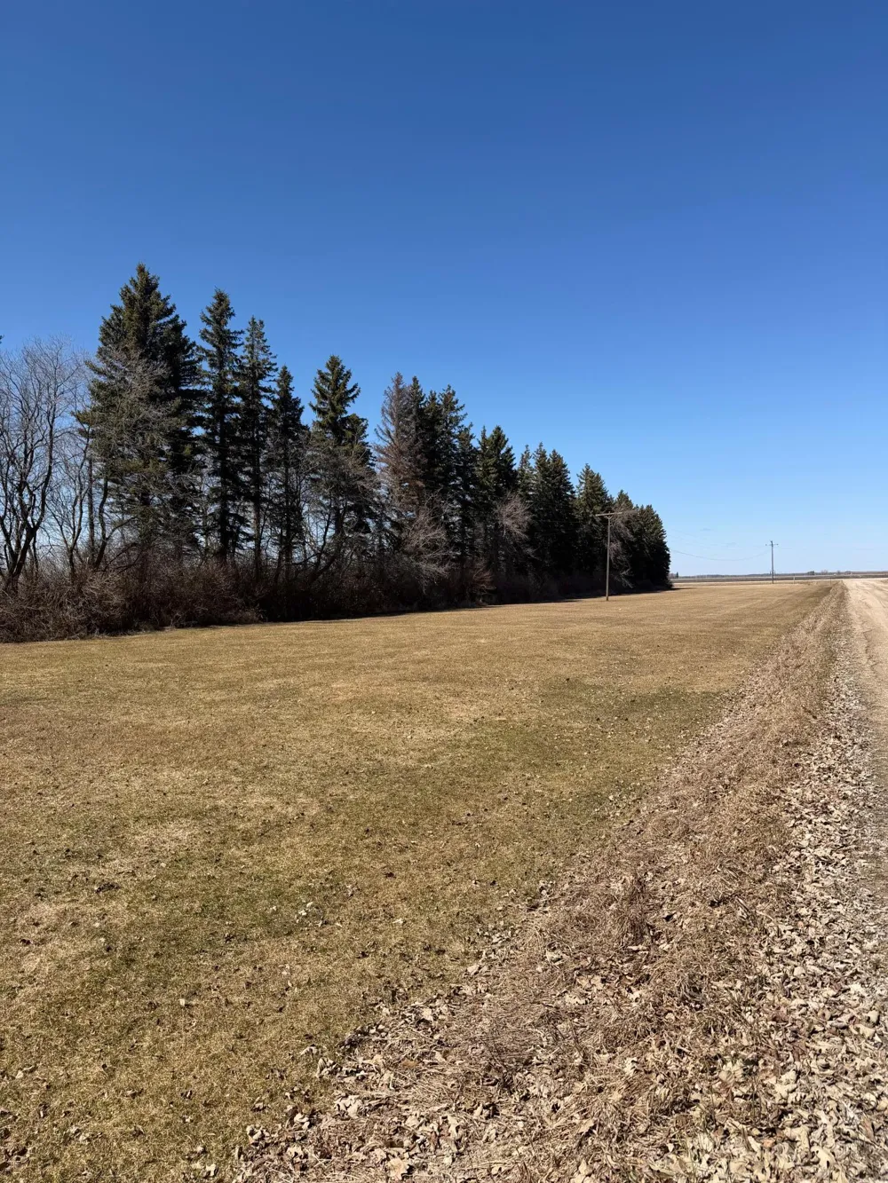 37488 320th Street Roseau, MN 56751
