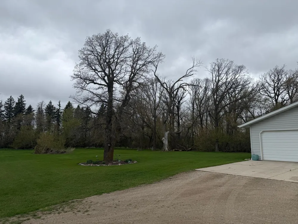 37488 320th Street Roseau, MN 56751