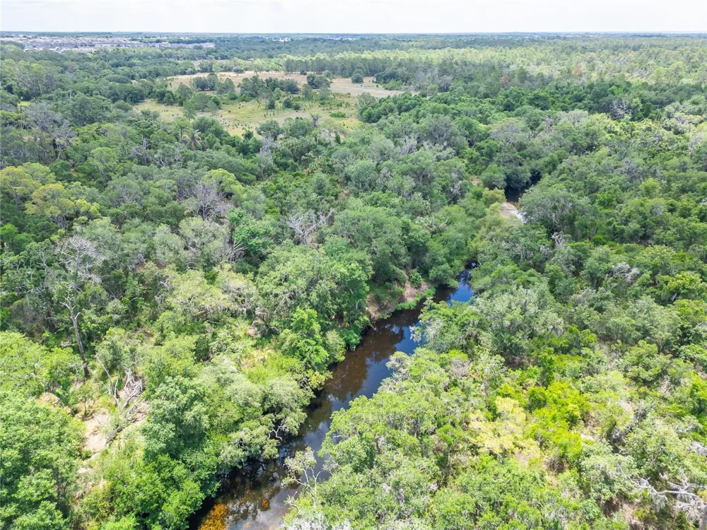 2819 SAFFOLD ROAD Wimauma, FL 33598