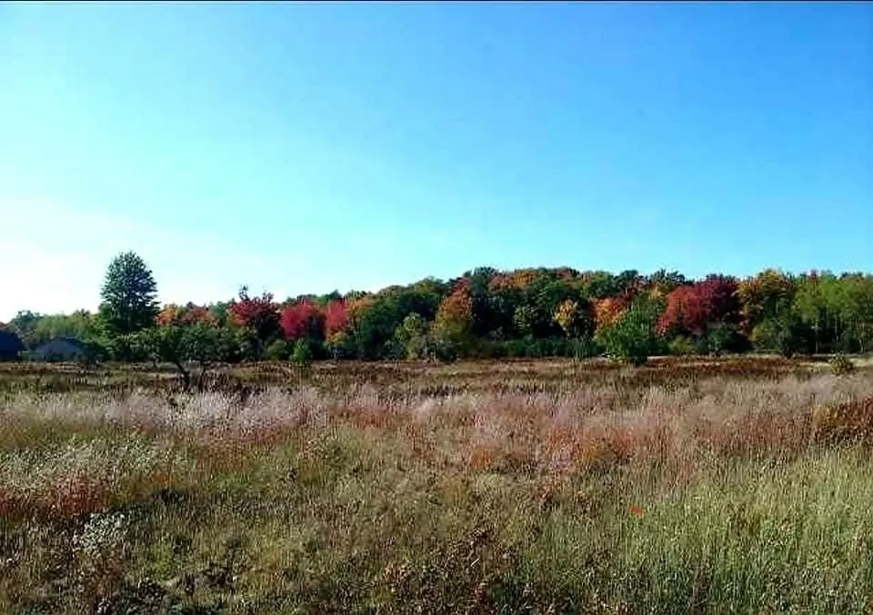 3955 W Crofton Road, SW Boardman Township, MI 49680
