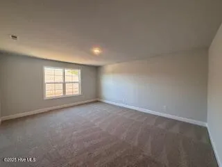 114 Firethorn Circle Wallace, NC 28466