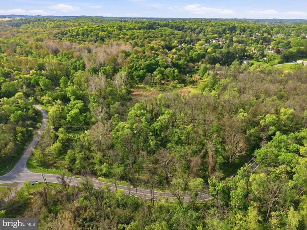 DETRICK ROAD #LOT 19A Mount Airy, MD 21771