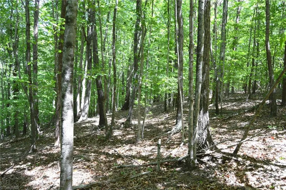 00 Hilltop View Lane Germanton, NC 27019