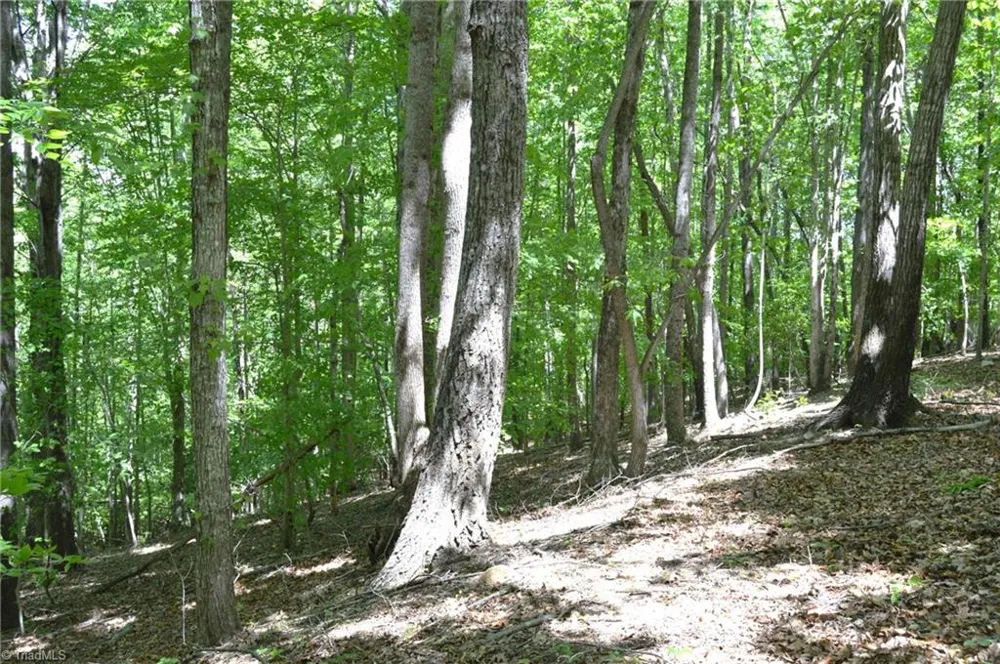 00 Hilltop View Lane Germanton, NC 27019