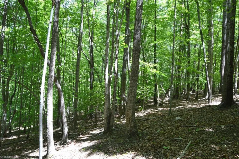 00 Hilltop View Lane Germanton, NC 27019