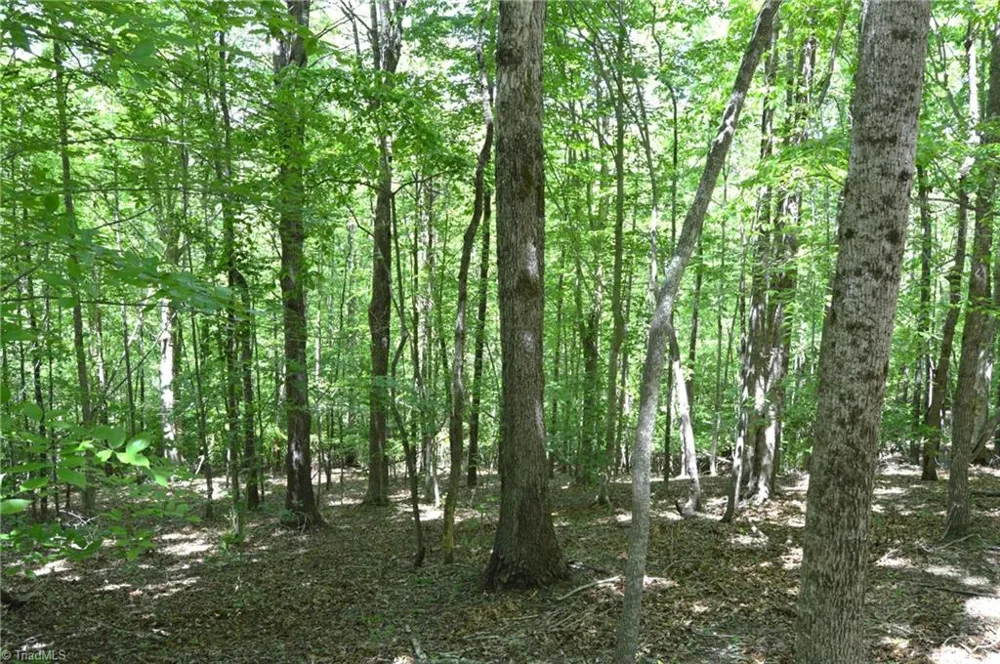 00 Hilltop View Lane Germanton, NC 27019