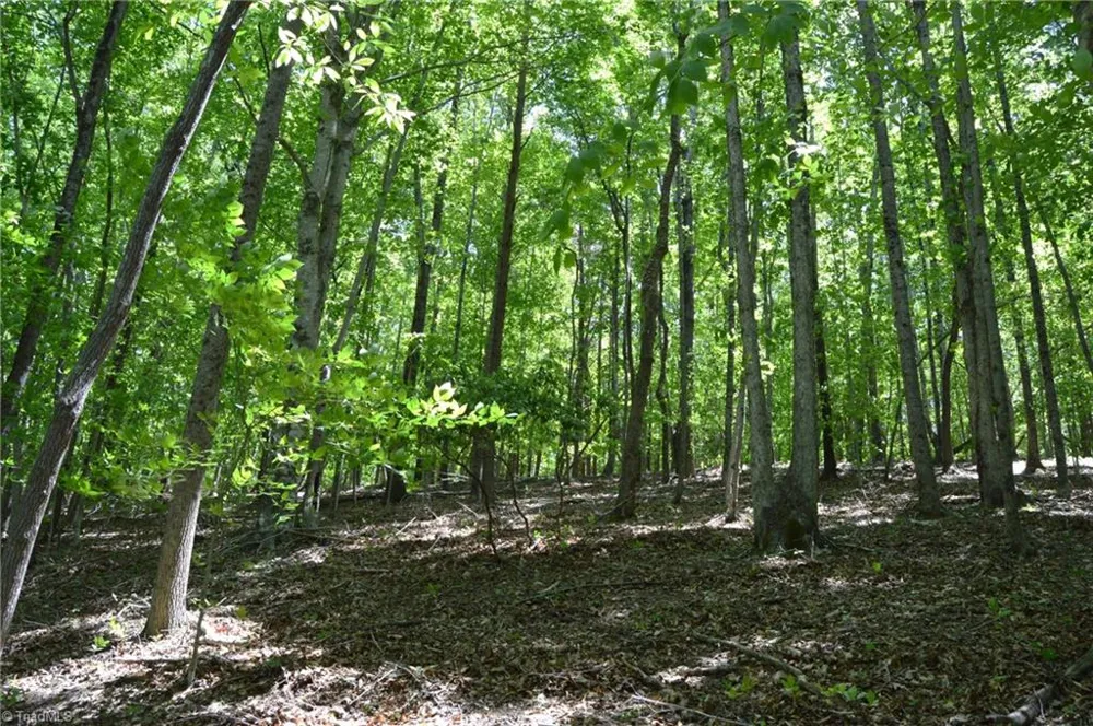 00 Hilltop View Lane Germanton, NC 27019