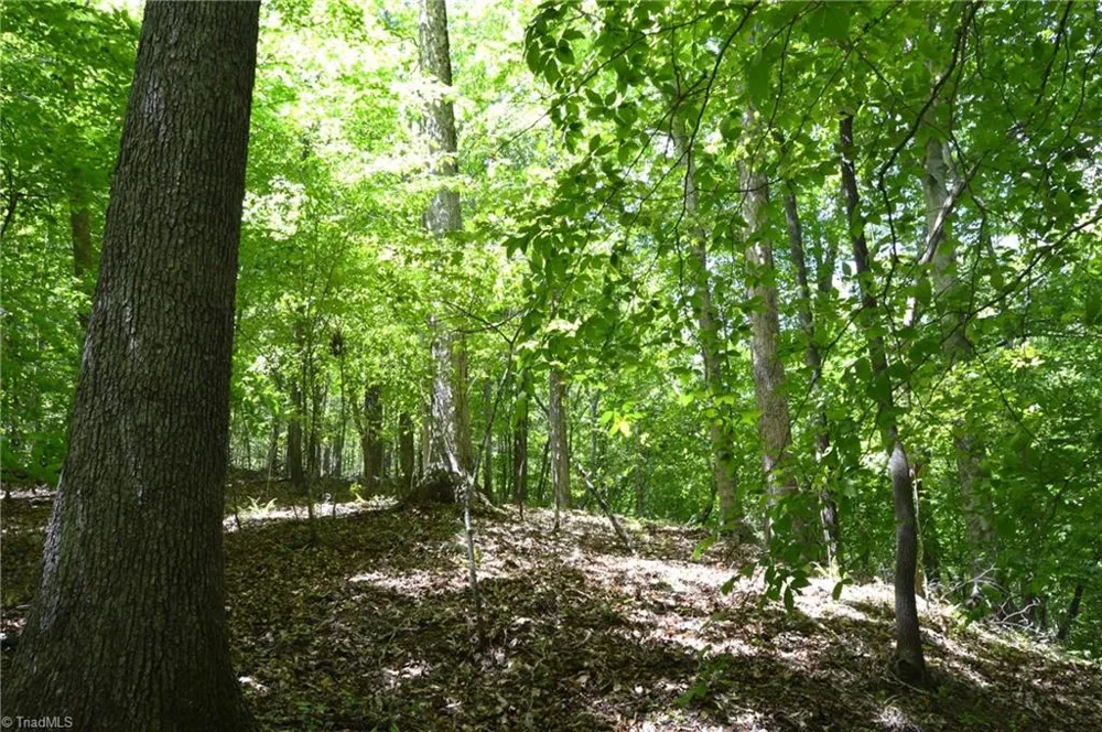 00 Hilltop View Lane Germanton, NC 27019