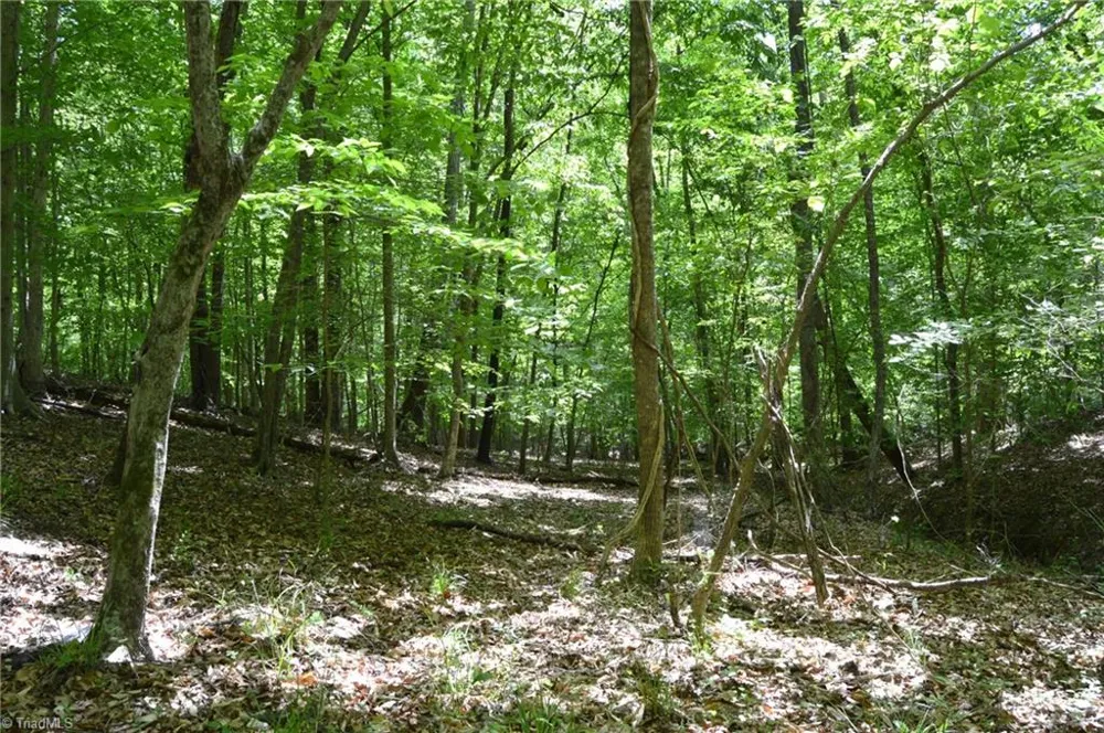 00 Hilltop View Lane Germanton, NC 27019