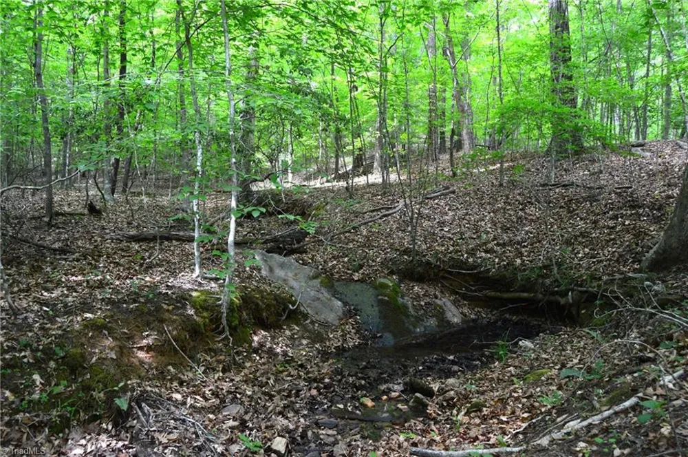 00 Hilltop View Lane Germanton, NC 27019