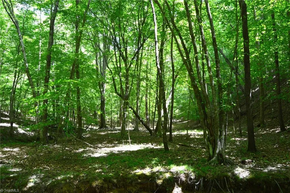 00 Hilltop View Lane Germanton, NC 27019
