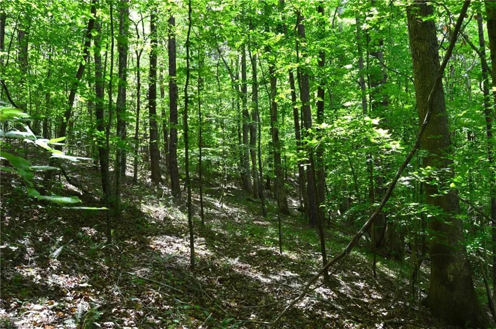 00 Hilltop View Lane Germanton, NC 27019