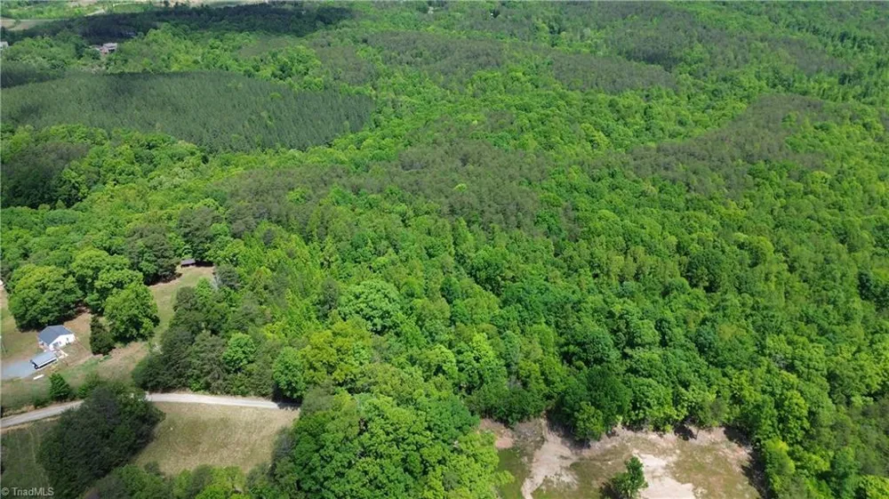 00 Hilltop View Lane Germanton, NC 27019