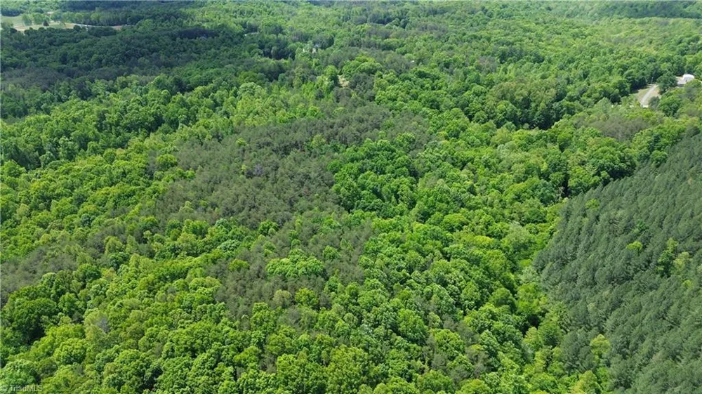 00 Hilltop View Lane Germanton, NC 27019
