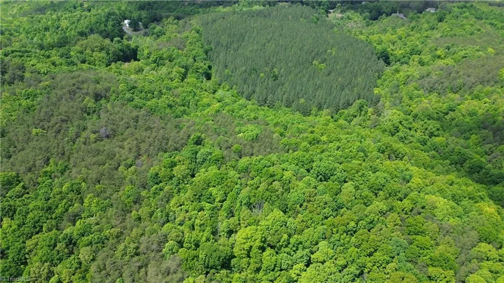 00 Hilltop View Lane Germanton, NC 27019