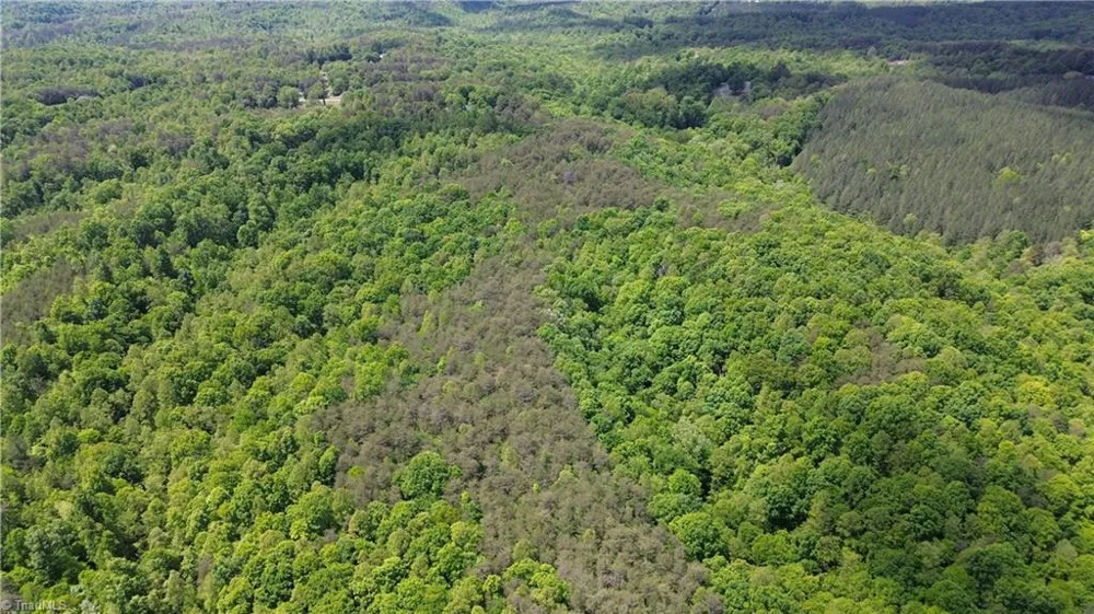 00 Hilltop View Lane Germanton, NC 27019