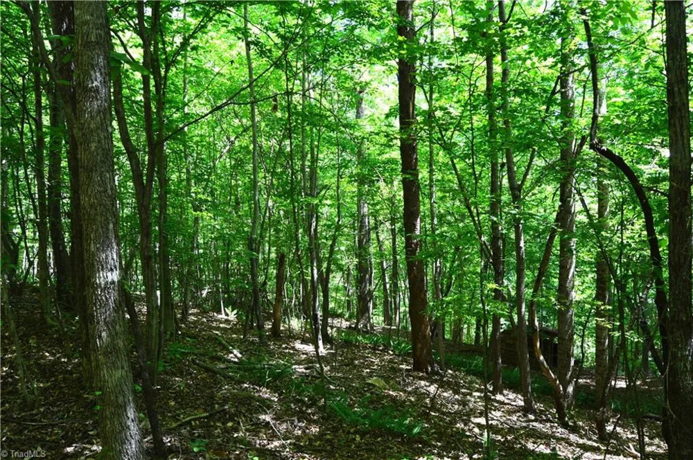 00 Hilltop View Lane Germanton, NC 27019