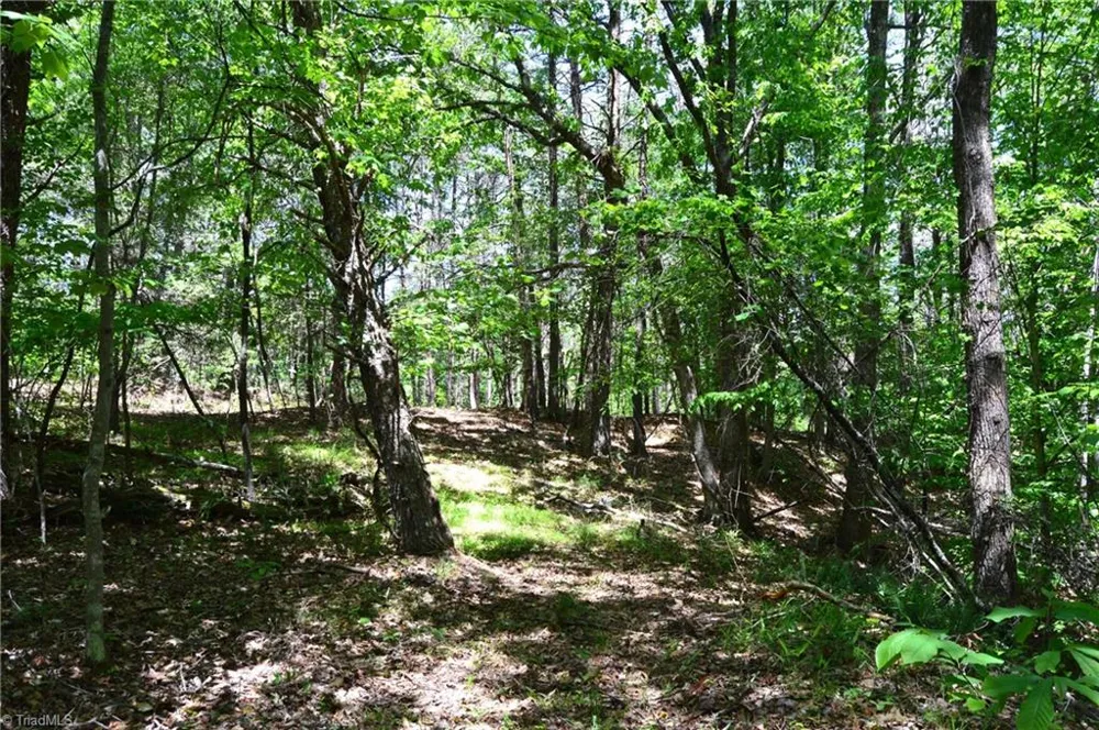 00 Hilltop View Lane Germanton, NC 27019