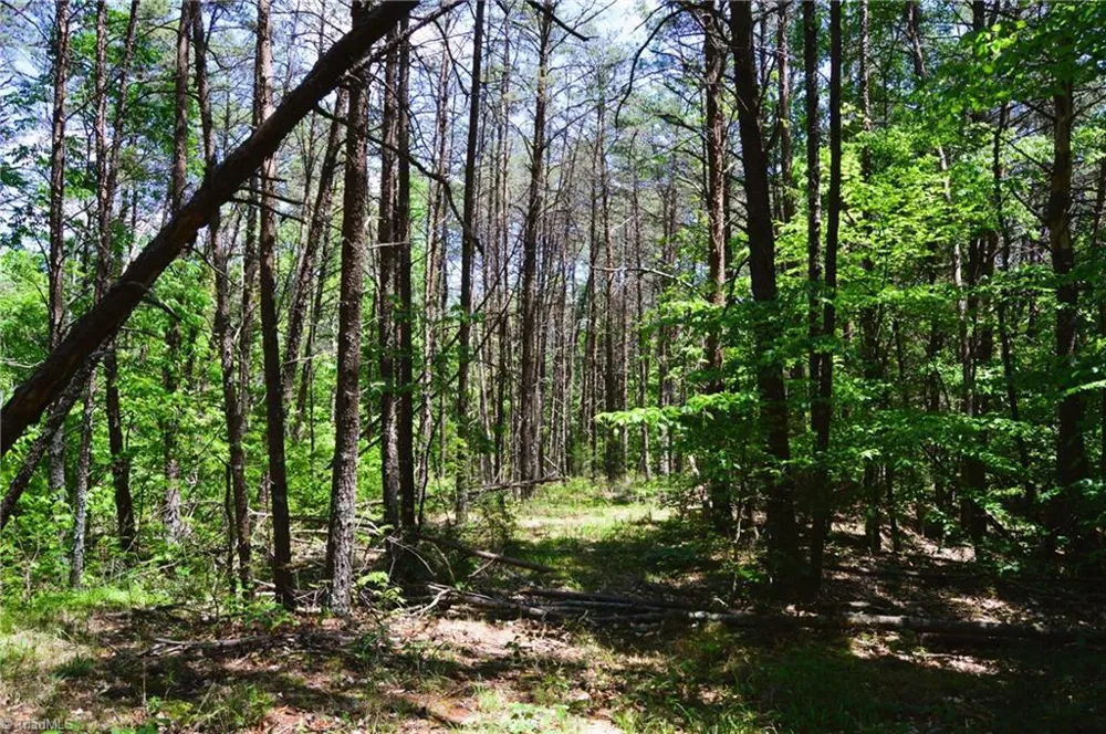 00 Hilltop View Lane Germanton, NC 27019