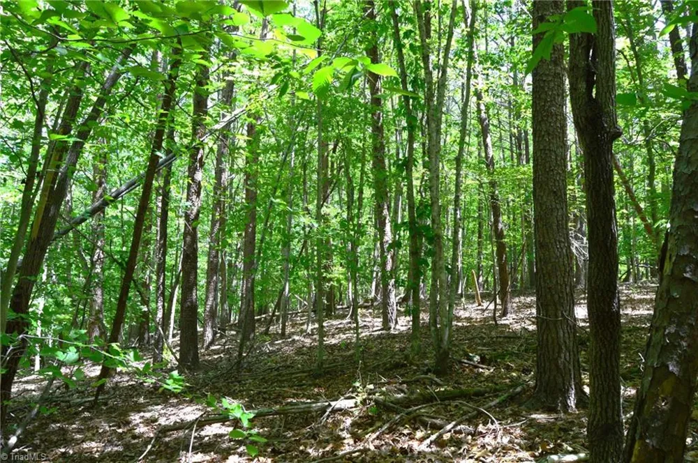 00 Hilltop View Lane Germanton, NC 27019