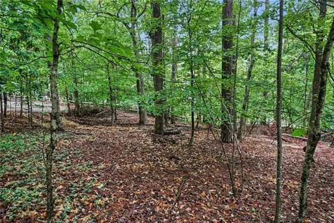 3836 Wesley Chapel Road