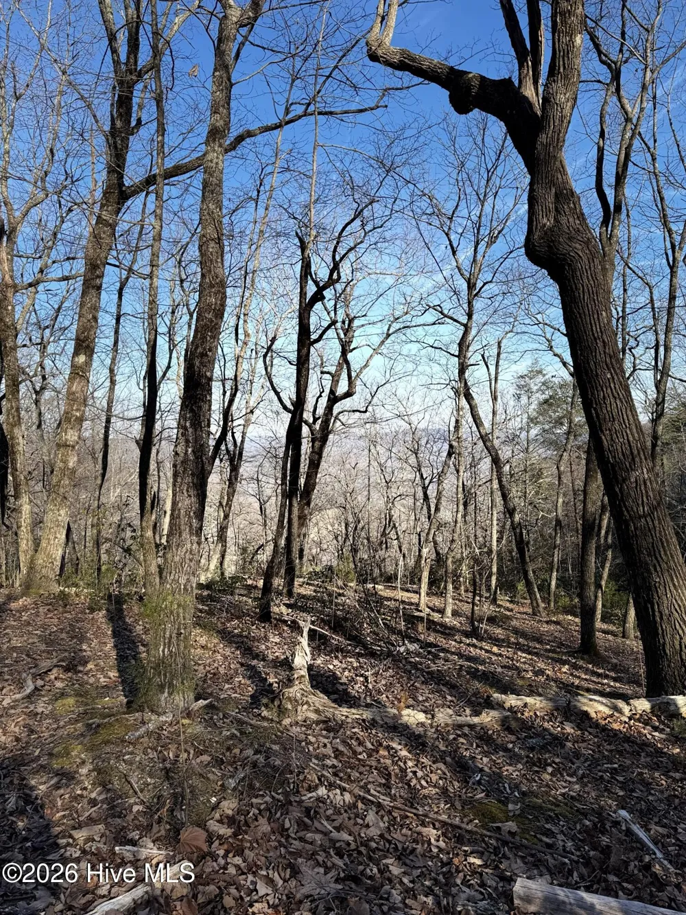 16 & 17 Ridgecrest Drive Lake Lure, NC 28746