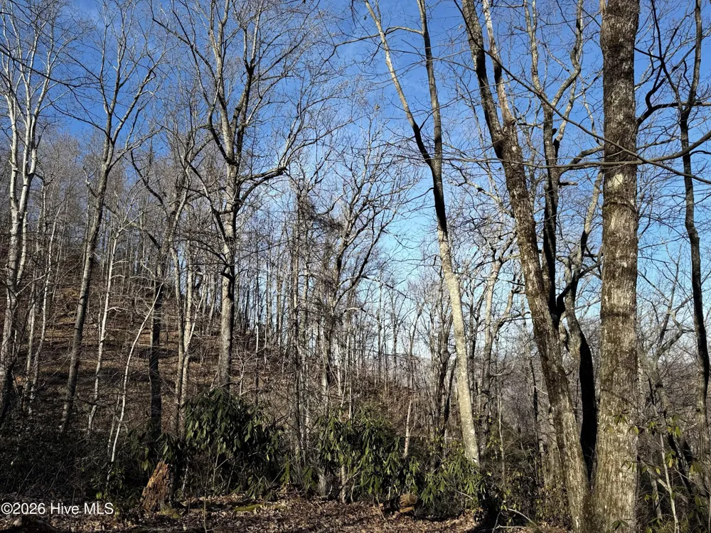 16 & 17 Ridgecrest Drive Lake Lure, NC 28746
