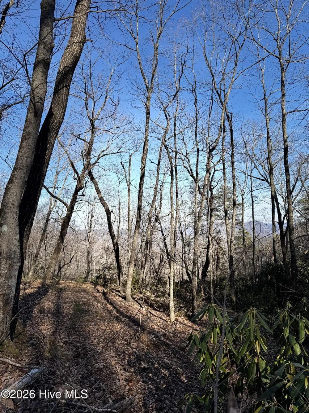 16 & 17 Ridgecrest Drive Lake Lure, NC 28746