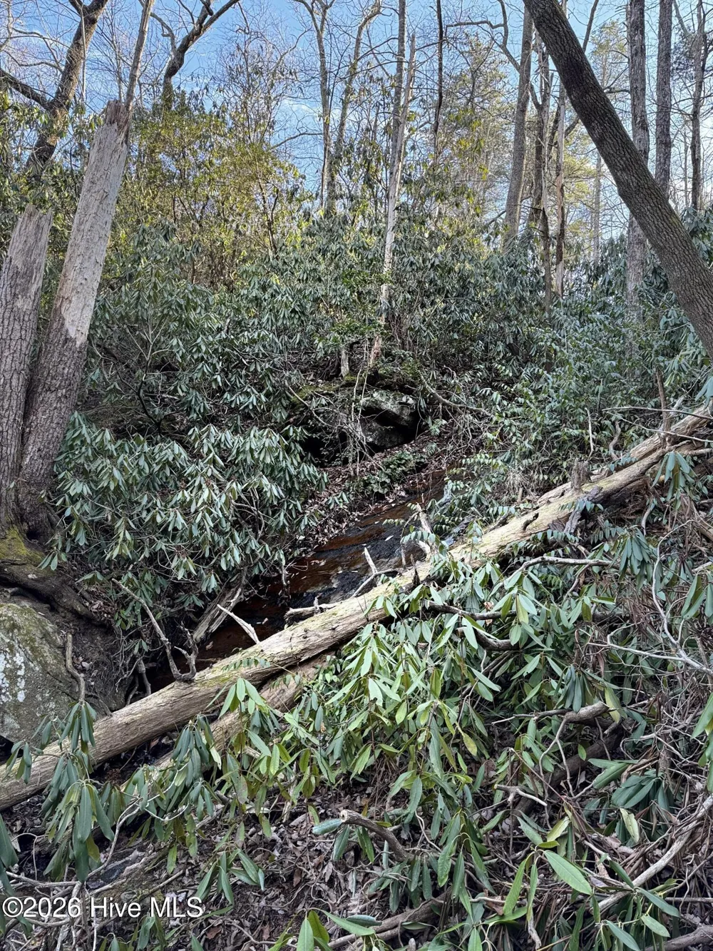 16 & 17 Ridgecrest Drive Lake Lure, NC 28746