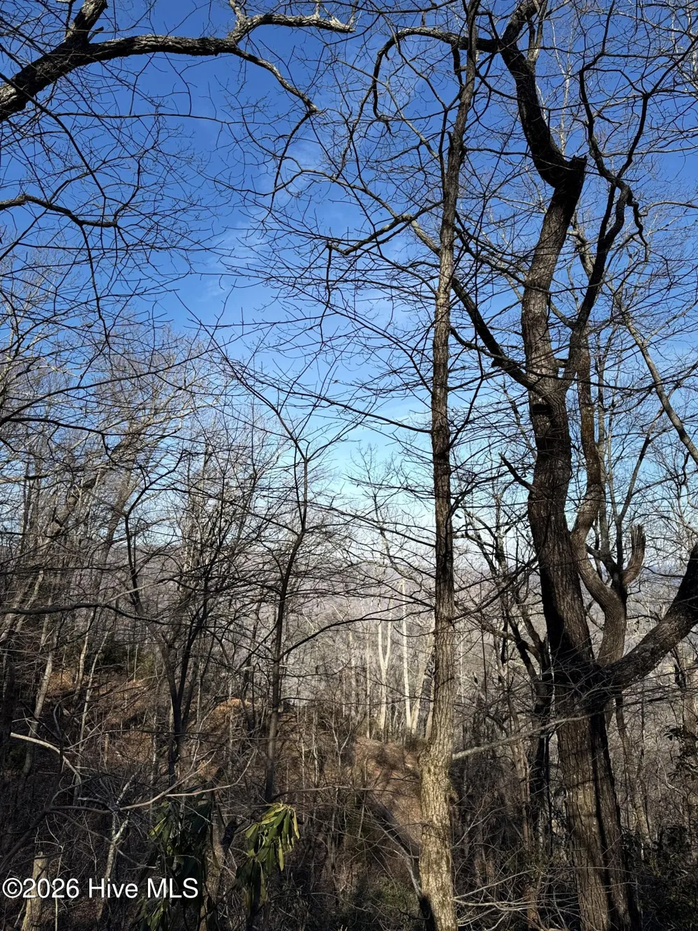 16 & 17 Ridgecrest Drive Lake Lure, NC 28746