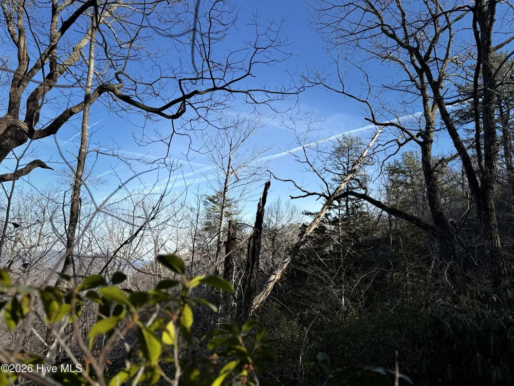 16 & 17 Ridgecrest Drive Lake Lure, NC 28746