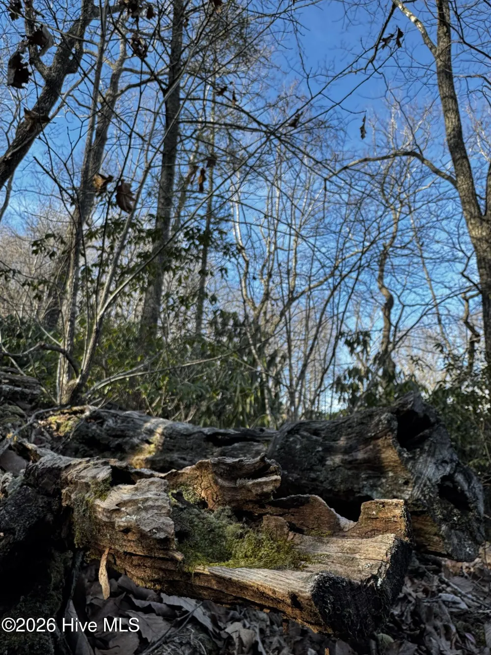 16 & 17 Ridgecrest Drive Lake Lure, NC 28746