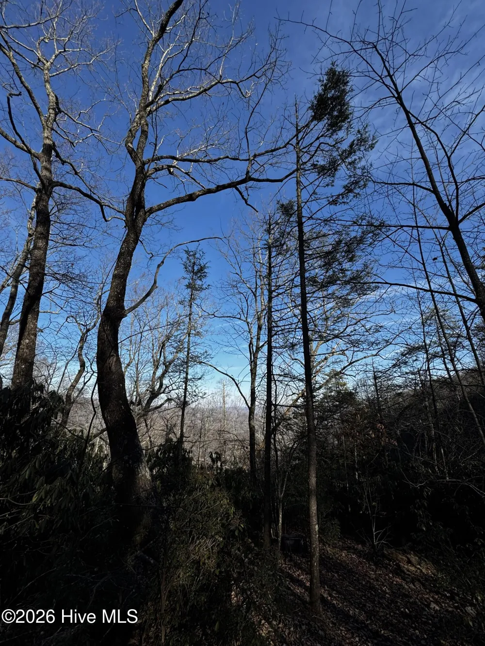 16 & 17 Ridgecrest Drive Lake Lure, NC 28746