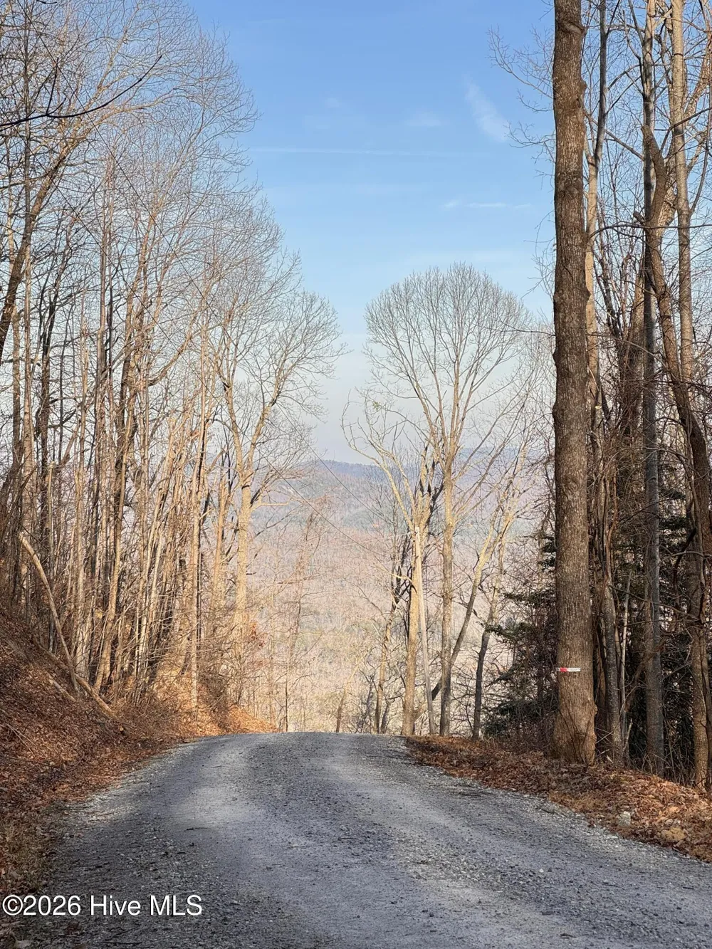 16 & 17 Ridgecrest Drive Lake Lure, NC 28746