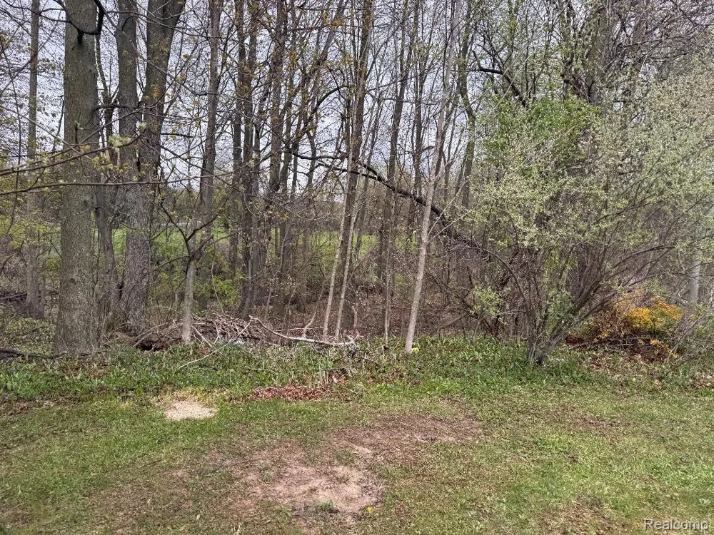 687 W Saginaw Road Fremont Township, MI 48744