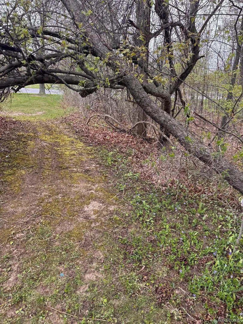687 W Saginaw Road Fremont Township, MI 48744