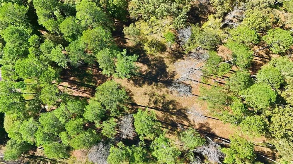 0 Cave Spring Road Cedartown, GA 30125