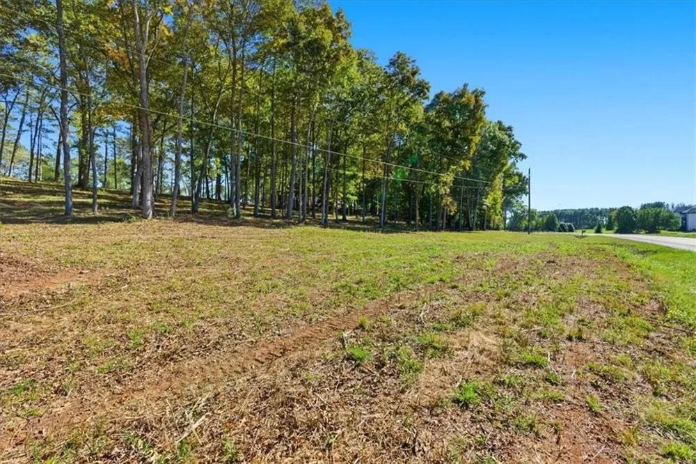 0 Cave Spring Road Cedartown, GA 30125