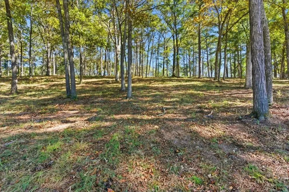 0 Cave Spring Road Cedartown, GA 30125